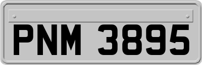 PNM3895