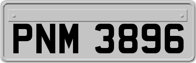 PNM3896