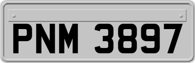 PNM3897