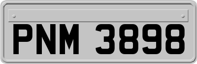 PNM3898