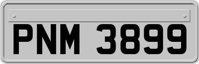 PNM3899