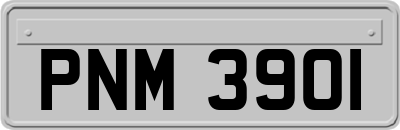 PNM3901