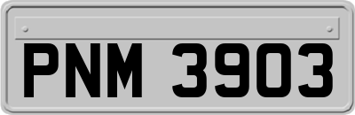 PNM3903