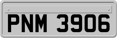 PNM3906