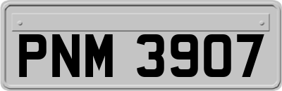 PNM3907