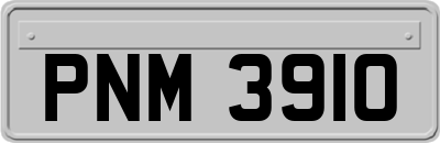 PNM3910
