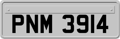 PNM3914