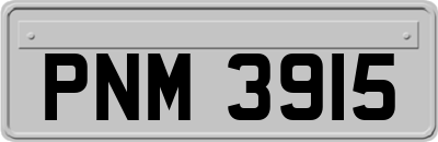PNM3915