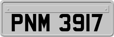 PNM3917
