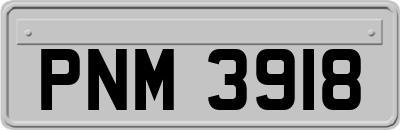 PNM3918