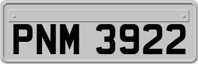 PNM3922