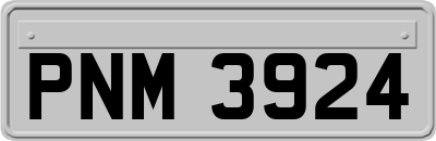 PNM3924