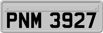 PNM3927