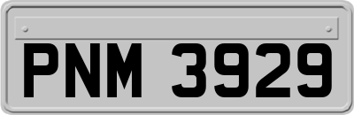 PNM3929