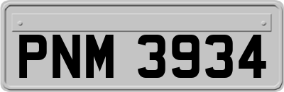 PNM3934