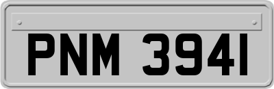 PNM3941