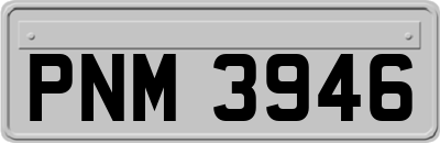 PNM3946