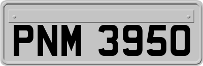 PNM3950