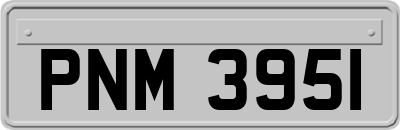 PNM3951
