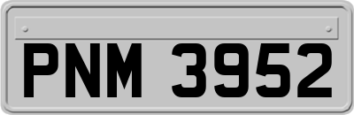 PNM3952