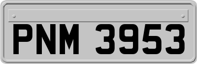 PNM3953