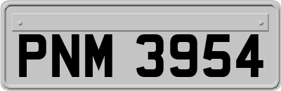 PNM3954
