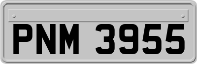 PNM3955