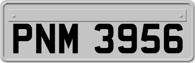 PNM3956
