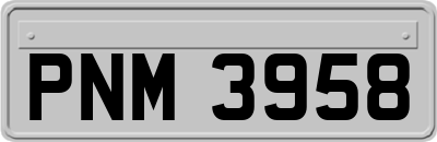 PNM3958