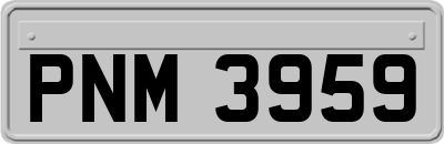 PNM3959