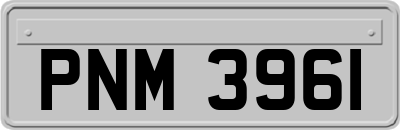 PNM3961