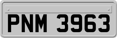 PNM3963