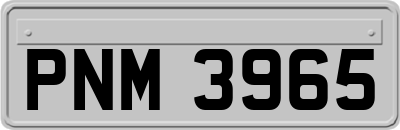PNM3965