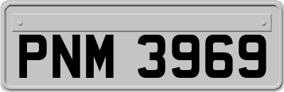 PNM3969