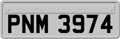 PNM3974