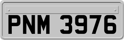 PNM3976