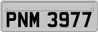 PNM3977