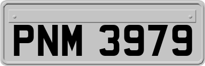 PNM3979