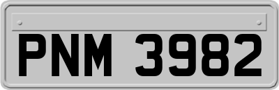 PNM3982