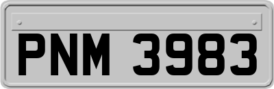PNM3983