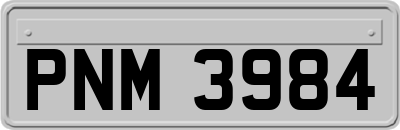 PNM3984