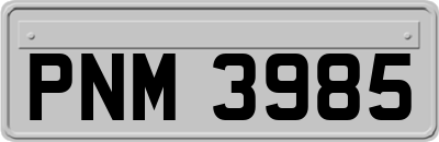 PNM3985