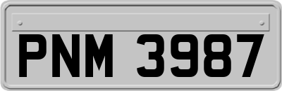 PNM3987