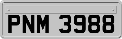 PNM3988