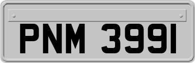 PNM3991