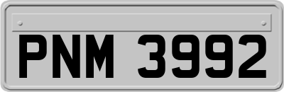 PNM3992