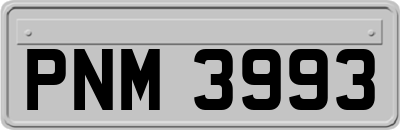 PNM3993