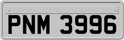 PNM3996