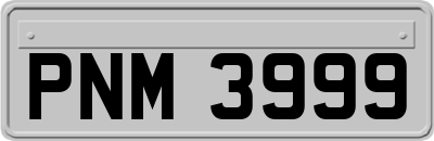 PNM3999