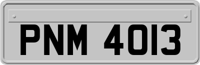 PNM4013